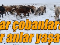 Kars'ta mayısta yağan kar çobanlara zor anlar yaşattı