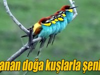 Kars'ta canlanan doğa kuşlarla şenlendi