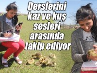 Derslerini kaz ve kuş sesleri arasında EBA'dan takip ediyor