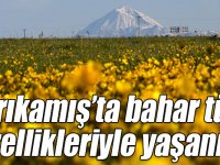 Sarıkamış’ta bahar tüm güzellikleriyle yaşanıyor