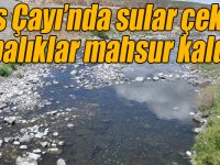 Kars Çayı’nda sular çekildi, balıklar mahsur kaldı