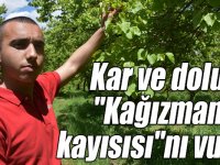 İlkbahar sonunda etkili olan kar ve dolu "Kağızman kayısısı"nı vurdu