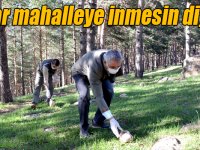Kars'ta ayılar mahalleye inmesin diye ormana yiyecek bırakıldı