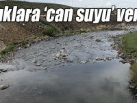 Kars Barajı’ndan balıklara ‘can suyu’ verildi