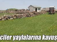Besiciler çiçeklerle süslenen yaylalarına kavuşuyor