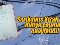 Sarıkamış Kızak Pisti, dünya çapında onaylandı!
