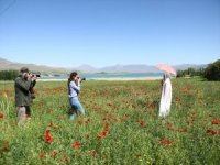 Baharın müjdecisi gelincikler fotoğraf tutkunlarının uğrak yeri oldu