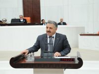 Arslan, Hükümet Adına Konuştu