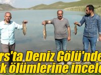 Kars'ta Deniz Gölü'ndeki balık ölümlerine inceleme