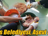 Kars Belediyesi sokak köpekleri için Aşevi açtı