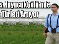 Kars Kuyucuk Gölü'nde Kuş Türleri Artıyor