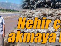 Aras Nehri çamur akmaya başladı