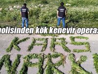 Kars polisinden kök kenevir operasyonu