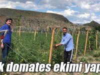 Kağızman’da sırık domates ekimi yapıldı