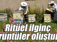 Kars'ta arıların oğul verme ritüeli ilginç görüntüler oluşturdu
