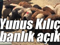 Kurban Bayramı'nda küçükbaş kurbanlıklar şap aşısı yapılarak satışa sunulacak