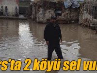 Kars’ta 2 köyü sel vurdu