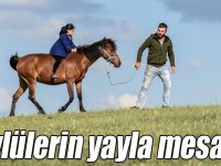 Köylülerin yayla mesaisi renkli görüntüler oluşturdu