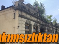 Kars’ta tarihi binanın üzerinde ağaç yetişti