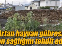 Artan hayvan gübresi insan sağlığını tehdit ediyor