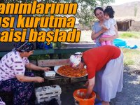 Ev hanımlarının kayısı kurutma mesaisi başladı