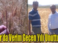 Digor’da Verim Geçen Yılı Unutturdu!