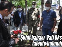 Şehit babası, Vali Öksüz’den talepte bulundu