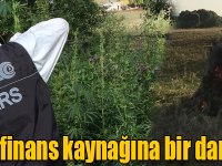 Terör örgütünün finans kaynağına bir darbe daha vuruldu