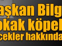 Başkan Bilgen’den sokak köpekleri ve böcekler hakkında açıklama