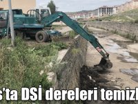 Kars’ta DSİ dereleri temizliyor