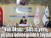 Vali Öksüz: “605 iş yeri kısa çalışma ödeneğinden faydalandı”