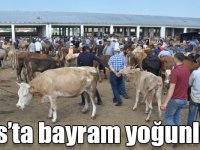 Kars’ta hayvan pazarında bayram yoğunluğu