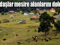 Sarıkamış'ta vatandaşlar bayram tatilinin son gününde mesire alanlarını doldurdu
