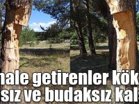 Bu hale getirenler köksüz, dalsız ve budaksız kalsın!