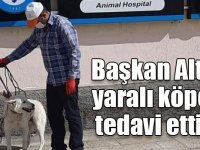 Başkan Altay, yaralı köpeği tedavi ettirdi