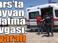 Kars’ta hayvan otlatma kavgası: 2 yaralı