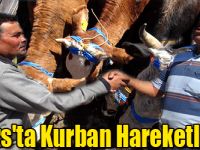 Kars'ta Kurban Hareketliği!