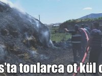 Kars’ta tonlarca ot kül oldu