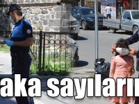 Kars’ta vaka sayılarında artış