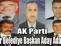 AK Parti Digor Belediye Başkan Aday Adayları