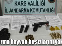 Jandarma hayvan hırsızlarını yakaladı