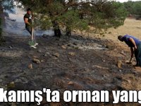 Sarıkamış'ta çıkan orman yangını söndürüldü