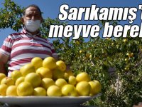 Kış memleketi Sarıkamış'ın bahçelerinde meyve bereketi