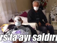 Kars'ta ayı saldırısına uğrayan kişi yaralandı
