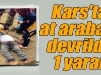 Kars'ta at arabası devrildi: 1 yaralı