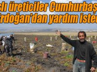 Karslı patates üreticileri Cumhurbaşkanı Erdoğan’dan yardım istedi