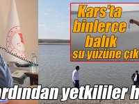 Haberimizin ardından yetkililer harekete geçti