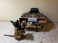 Tunceli'deki uyuşturucu operasyonunda 3 İran uyruklu yakalandı