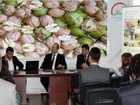 Kars'ta Bahçecilik ve Ceviz Yetiştiriciliği Eğitimi!