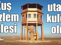 Kuş gözlem kulesi utanç kulesi oldu